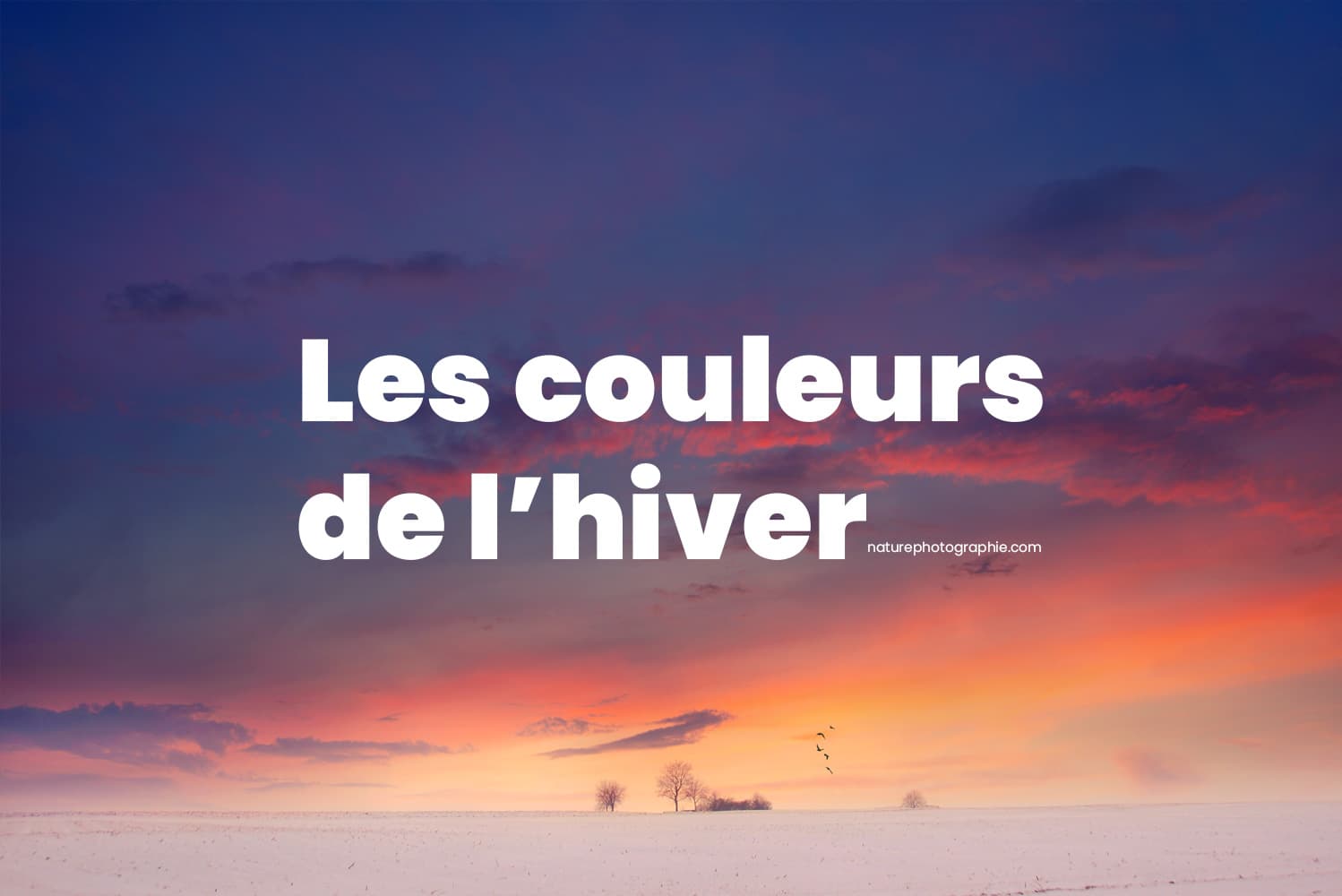 Coucher de soleil sur un paysage en hiver