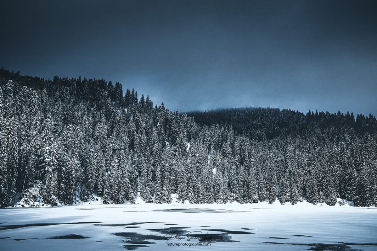 Ciel de neige et paysage blanc