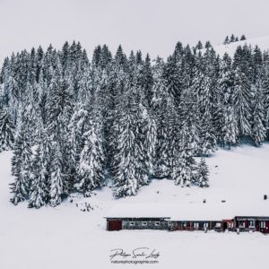 Ferme-auberge Gaertlesrain