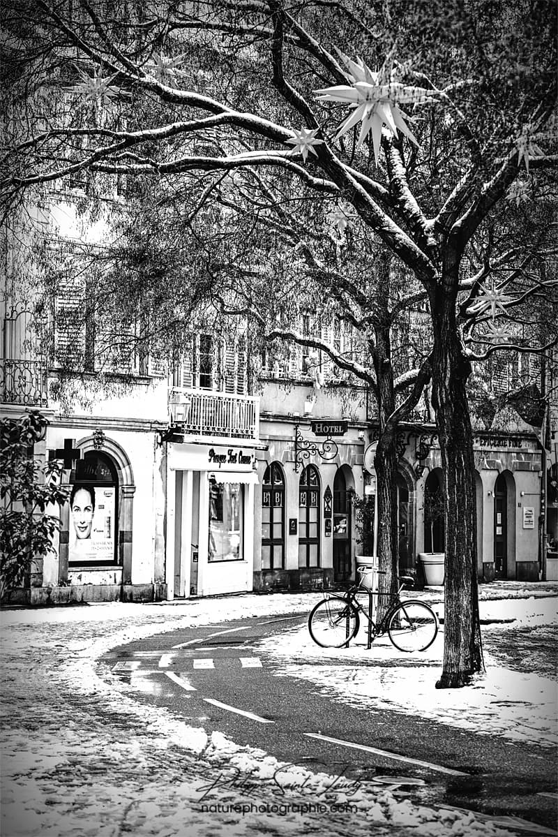 Photos Noir Et Blanc La Galerie Photo De Nature Photographie