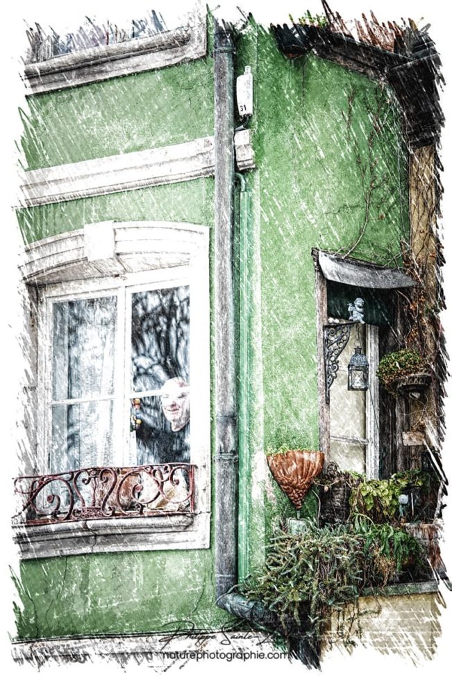 Façade verte à Strasbourg