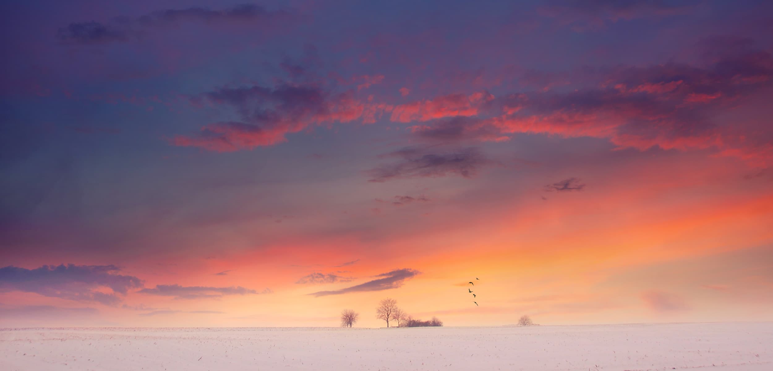 Photos des couleurs de'hiver