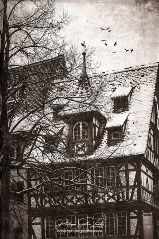 Maison traditionnelle à Strasbourg