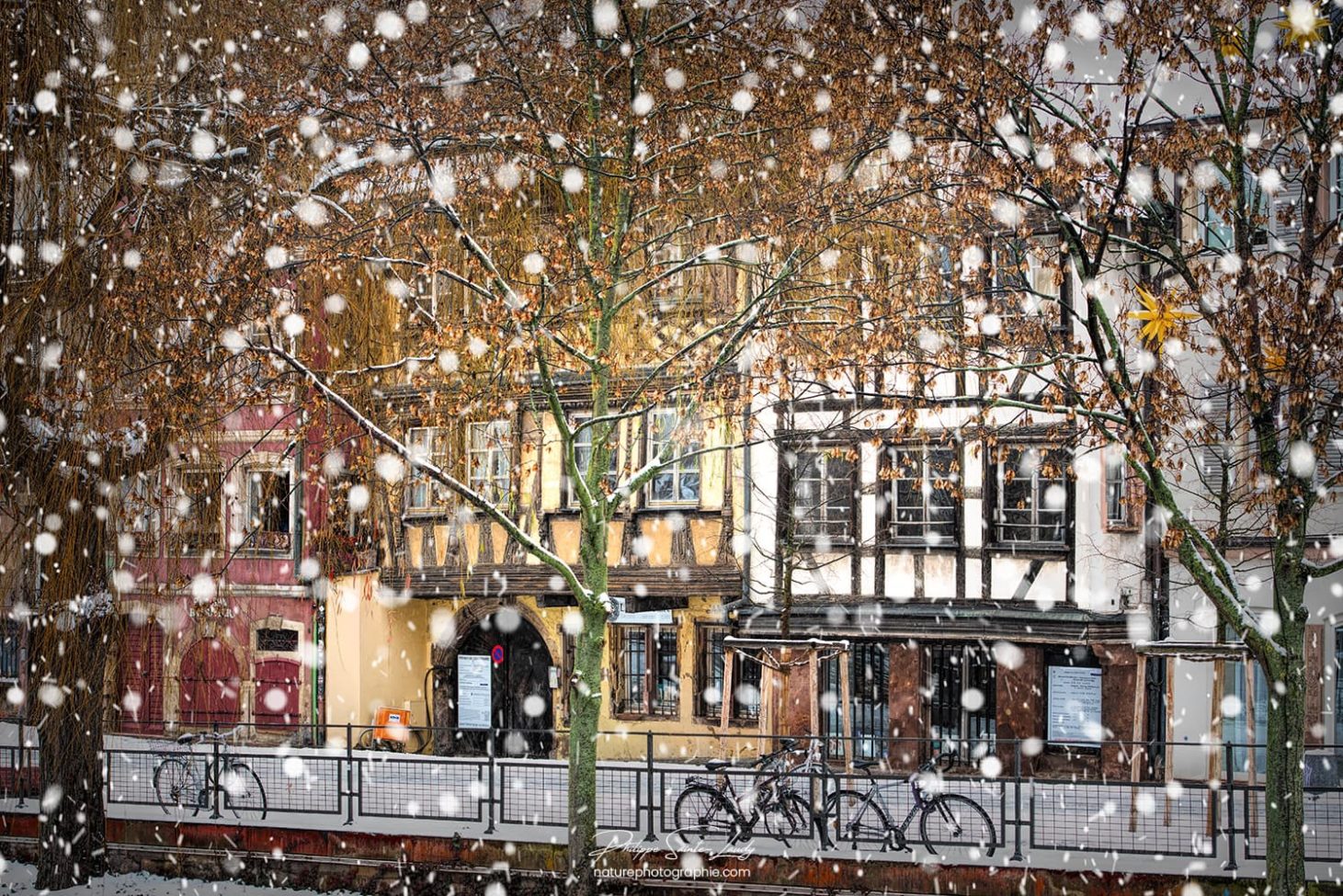 Neige le long des quais