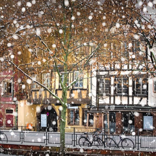 Neige sur les quais de Strasbourg Neige le long des quais