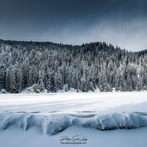 Lac gelé et forêt de sapins dans les Vosges