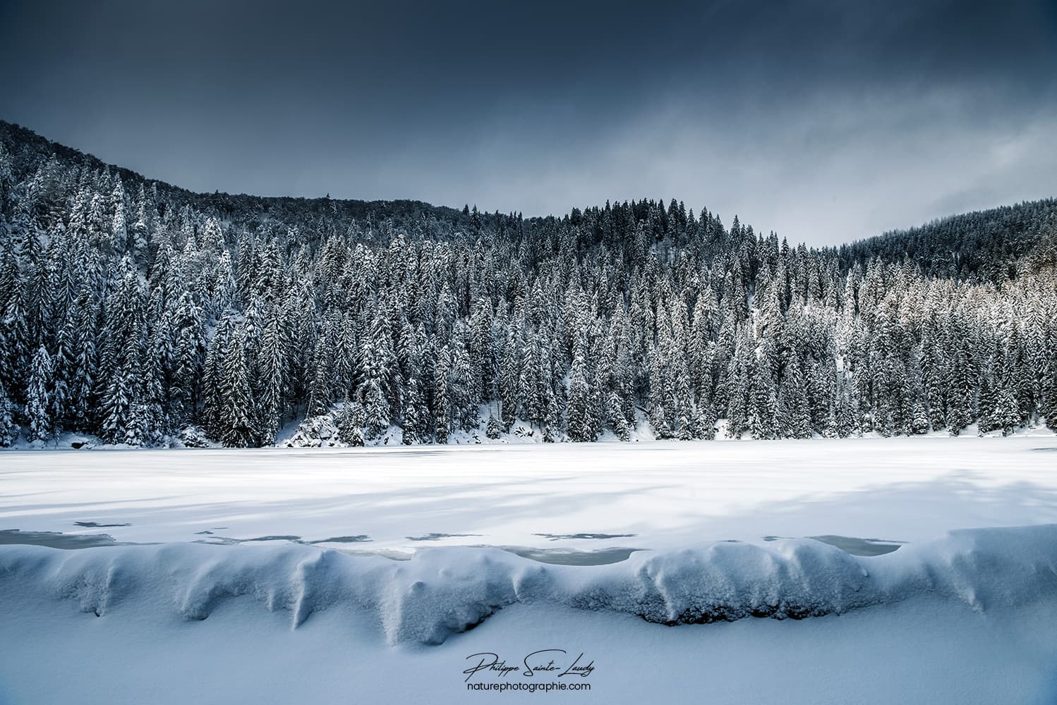 Lac gelé et forêt de sapins dans les Vosges