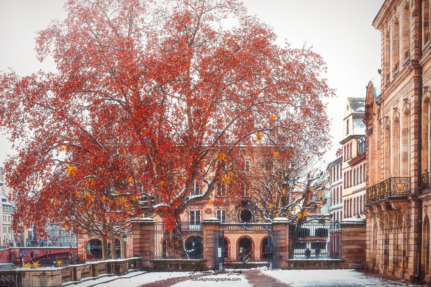 Place du Palais des Rohan
