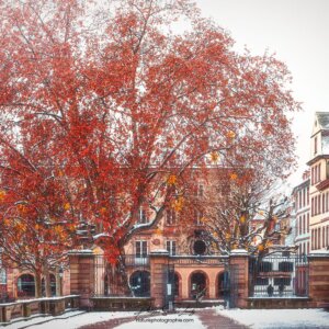 Place du Palais des Rohan