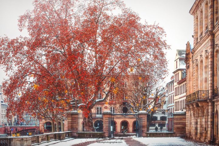 Place du Palais des Rohan