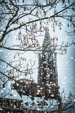 Cathédrale de Strasbourg sous la neige
