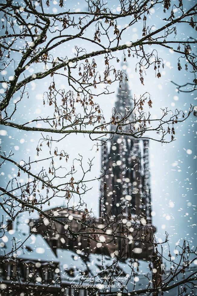 Cathédrale de Strasbourg sous la neige