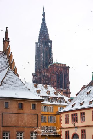 Vue sur la Cathédrale de Strasbourg