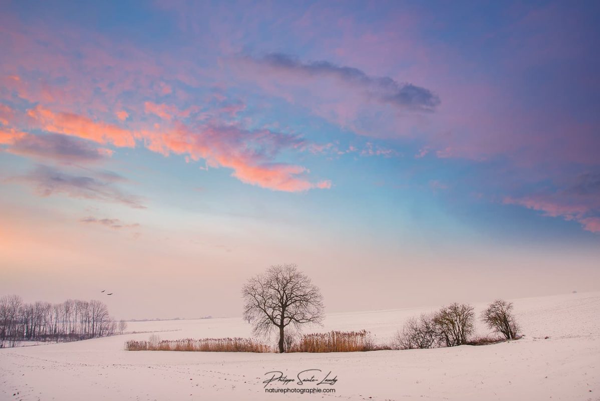 Paysage et ciel d'hiver