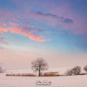 Paysage et ciel d'hiver