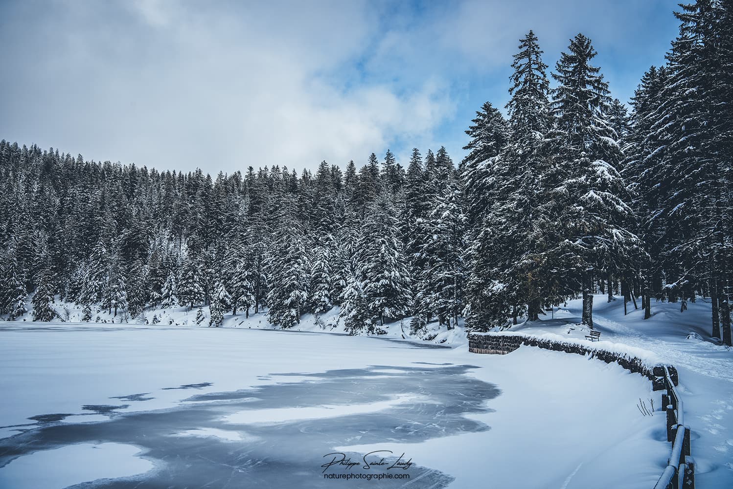 Lac enneigé dans les Vosges