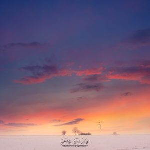 Coucher de soleil coloré en hiver