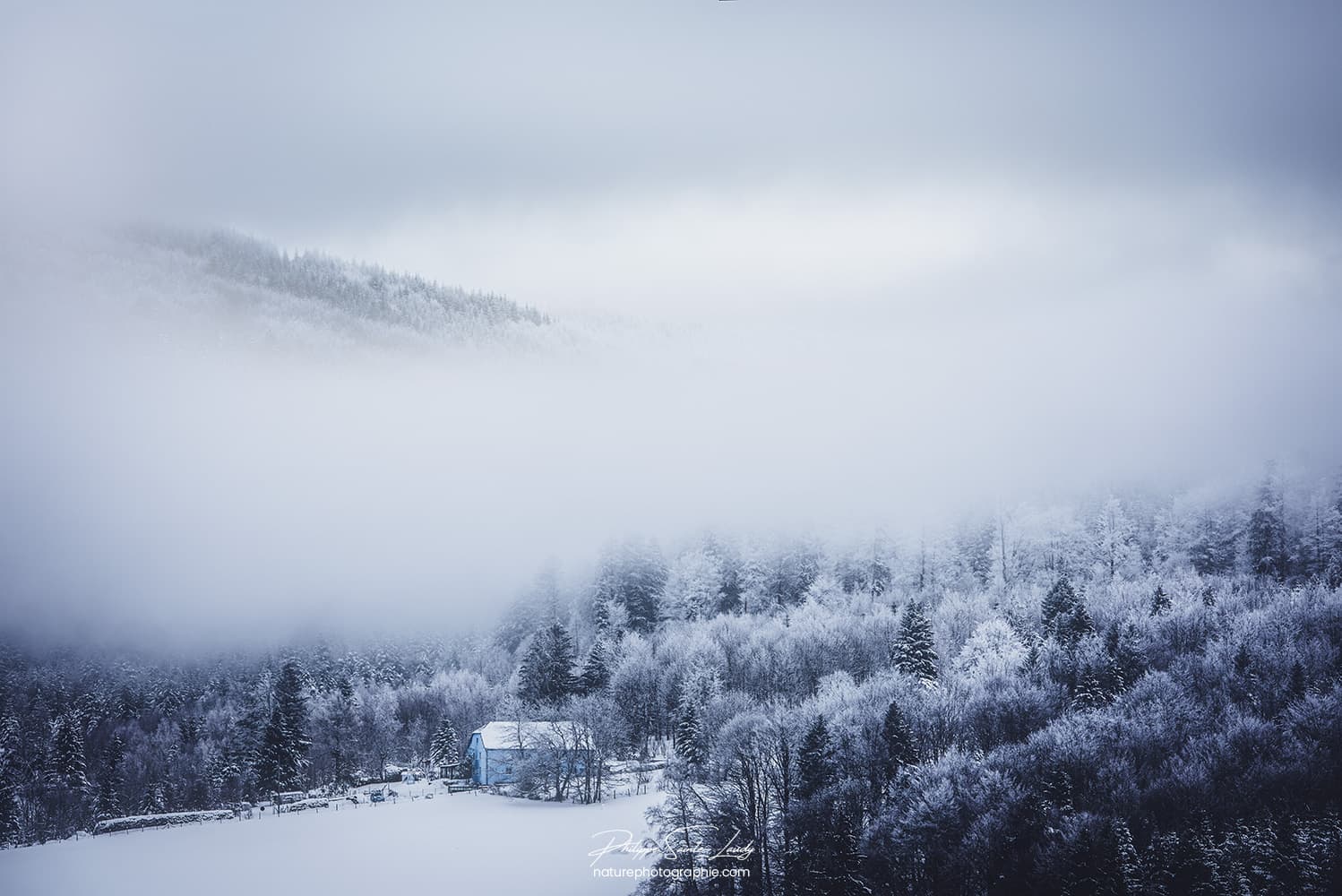 Brouillard en montagne