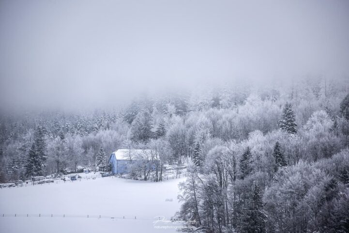 Ferme Vosgienne dans le brouillard