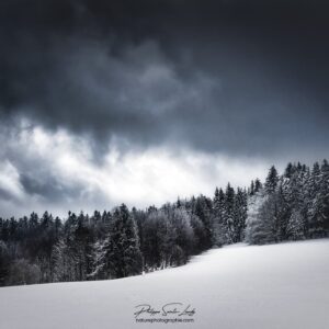 Faces in the Clouds Ciel nuageux au-dessus d'une forêt de sapins