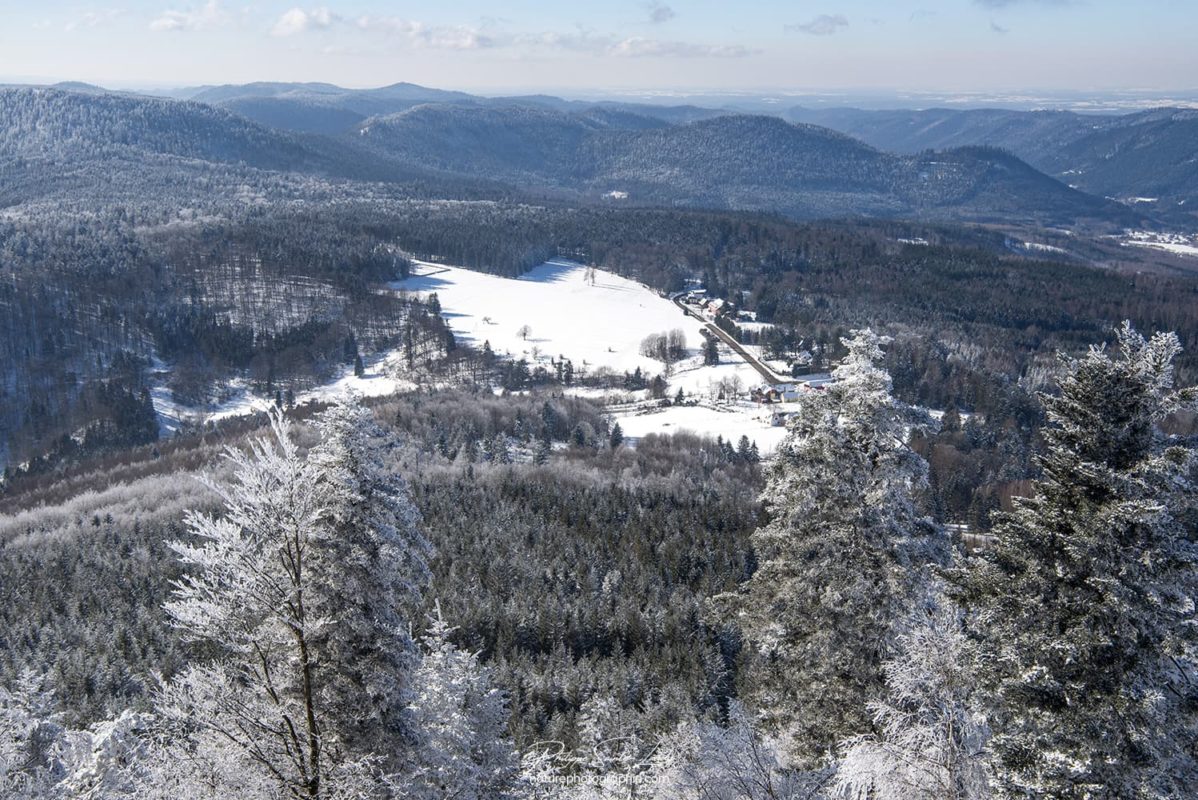 Vue panoramique au sommet du Donon