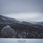 Le brouillard se lève dans les Vosges