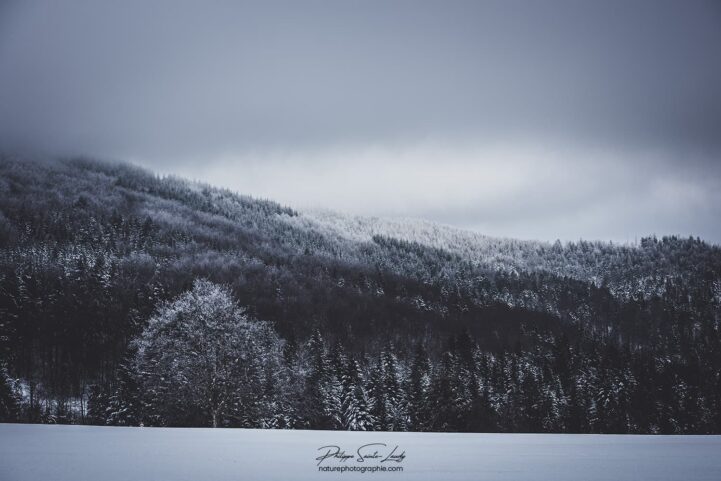 Le brouillard se lève dans les Vosges