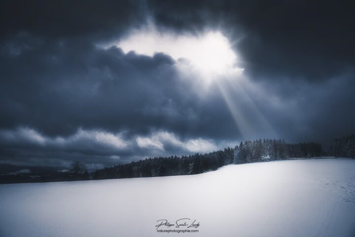 Rayons de lumière sur une forêt de sapins en hiver