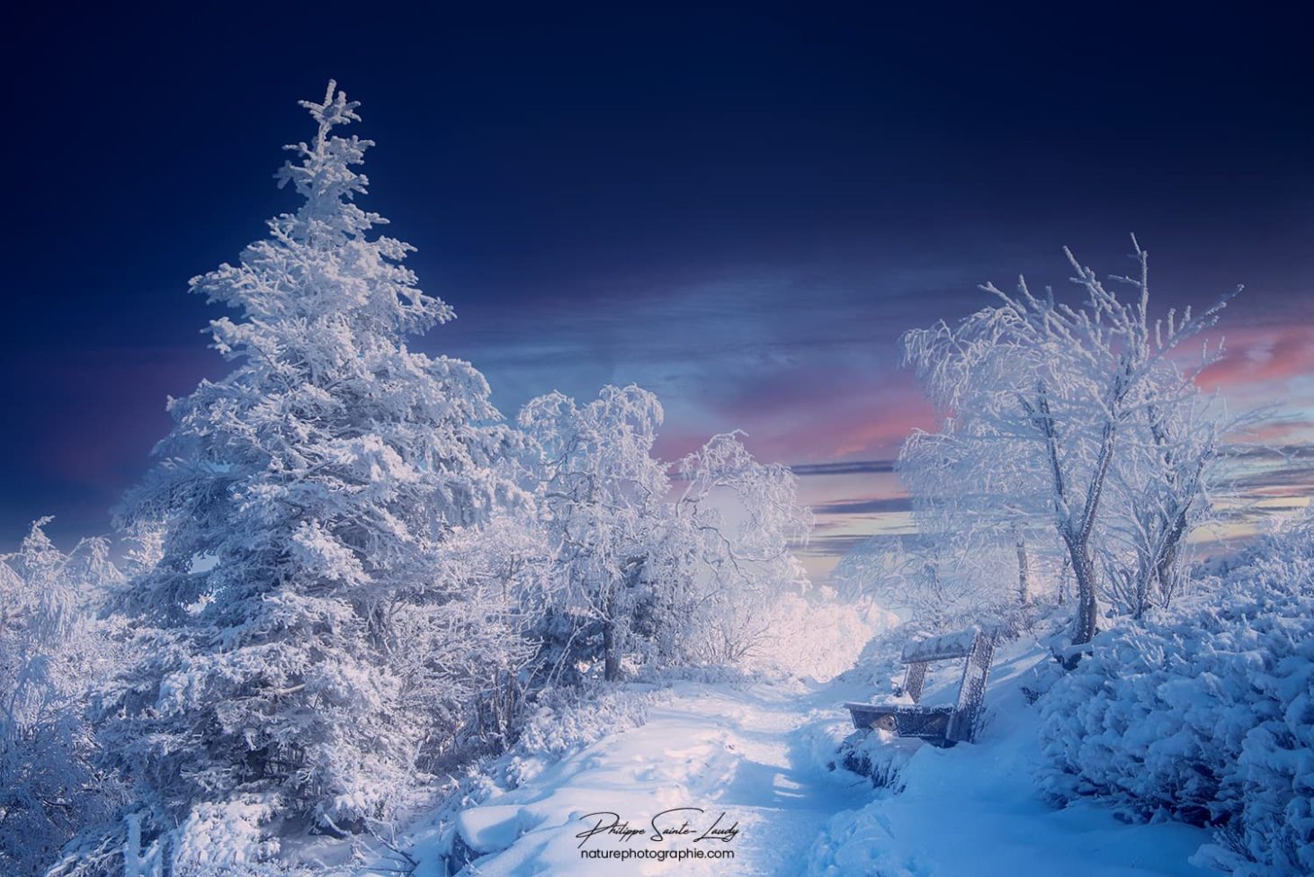 Paysage de montagne en hiver