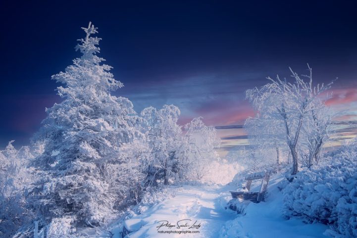 Paysage de montagne en hiver