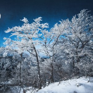Lune-en-hiver