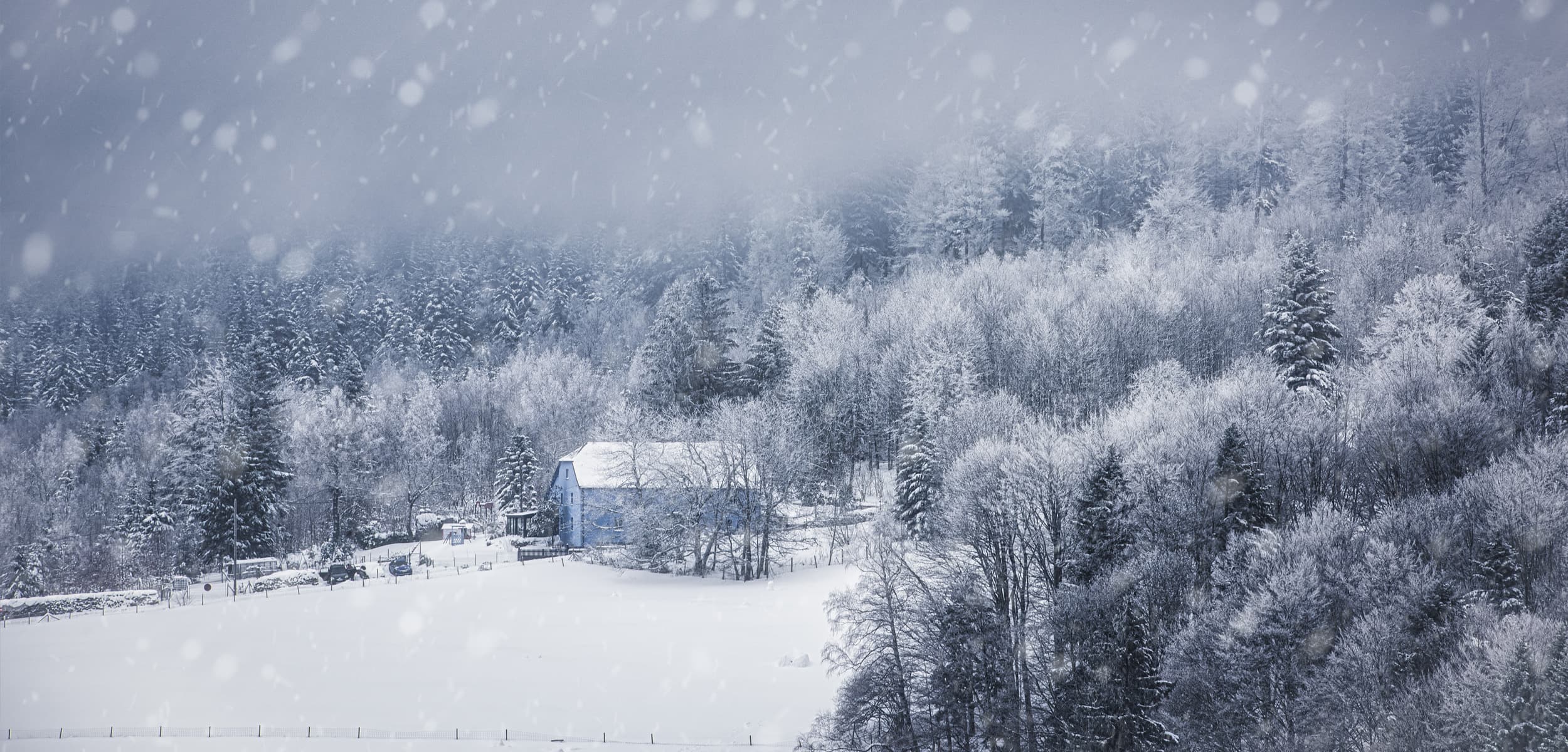 Maison Vosgienne sous la neige - Col du Donon