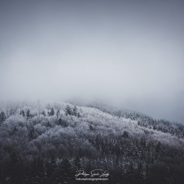 Nature of Things Brouillard en montagne