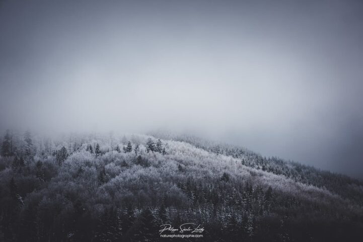 Brouillard en montagne