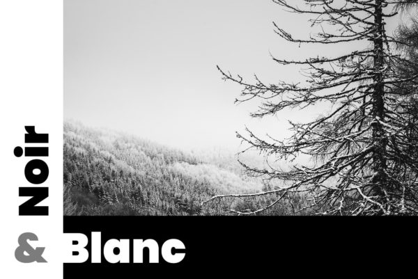 Neige-en-N&B Photos de paysages en hiver