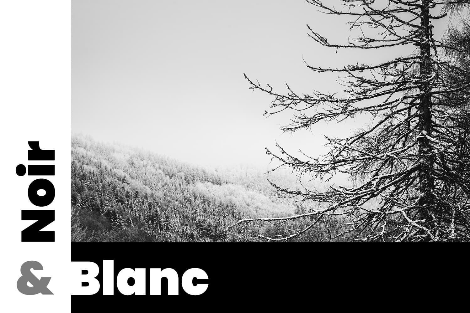 Photos de paysages en hiver