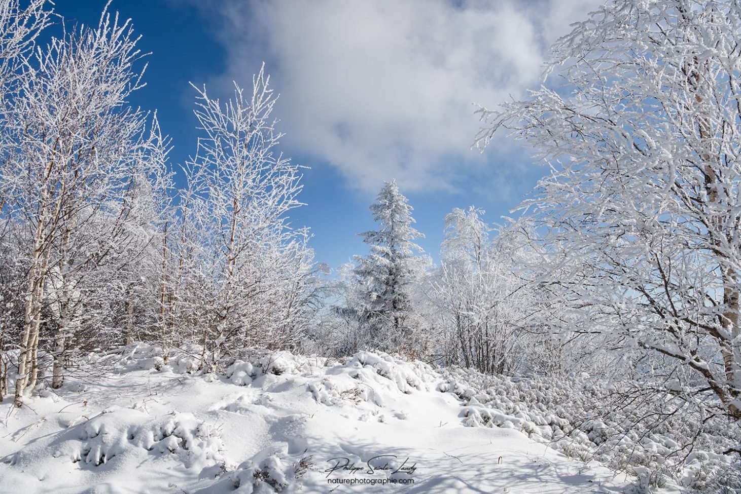 La neige dans les Vosges