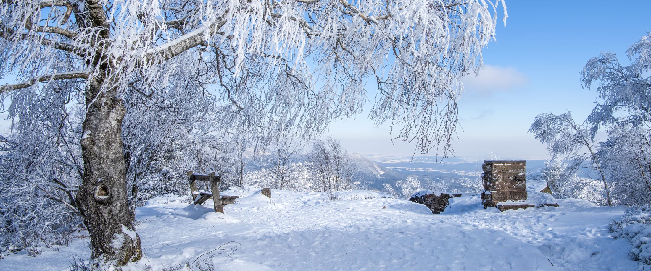 Neige dans les Vosges