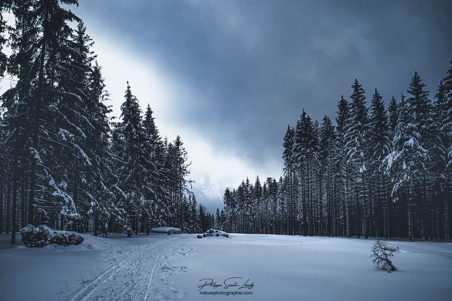 Paysage des Vosges en hiver
