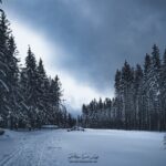 Paysage des Vosges en hiver