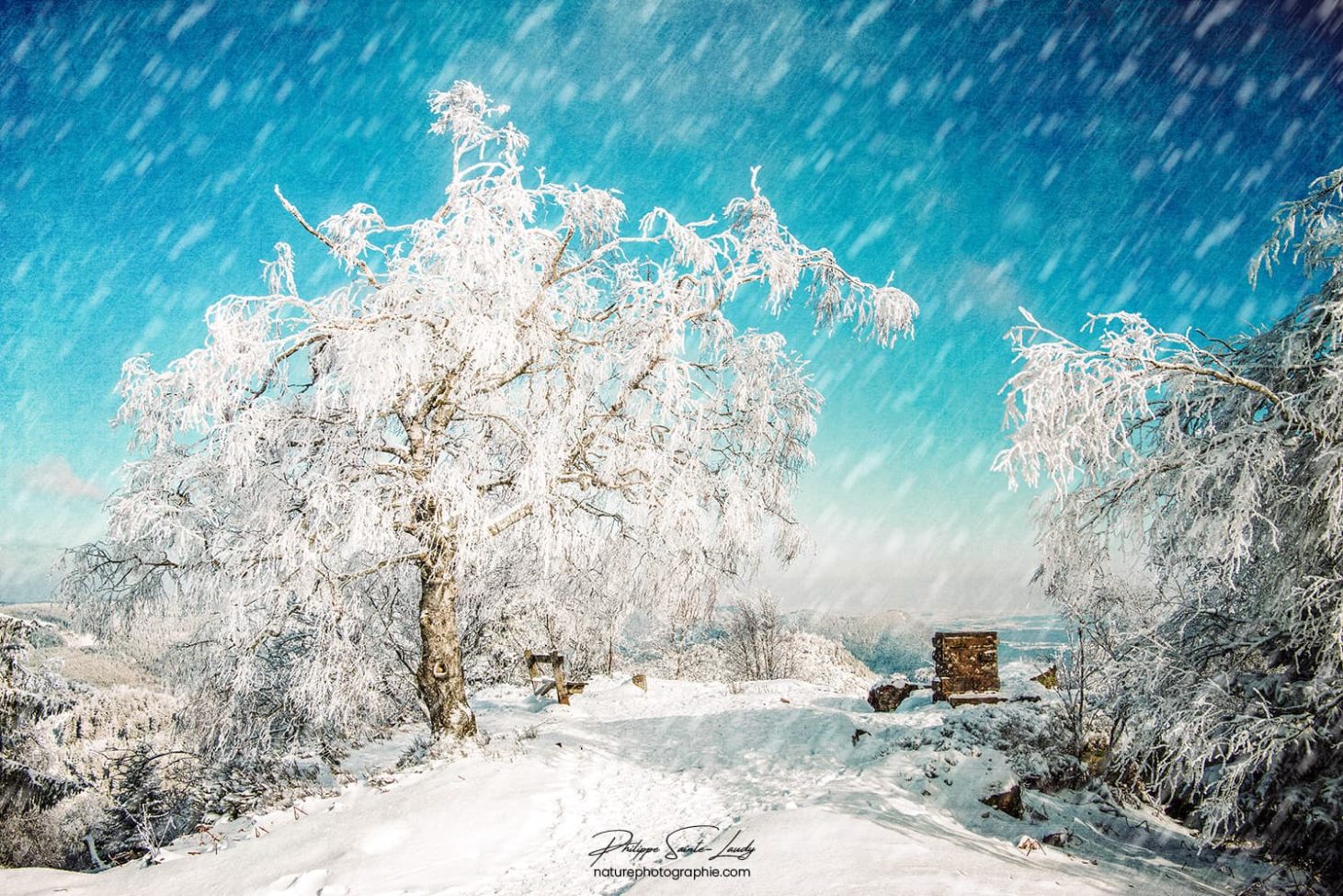 La neige tombe sur un paysage