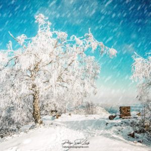 Spirits In The Wind La neige tombe sur un paysage