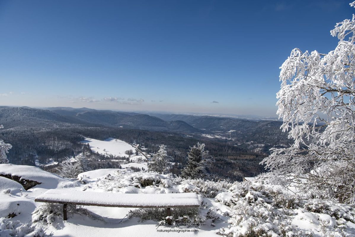 Vue sur les sommets Vosgiens depuis le col du Donon