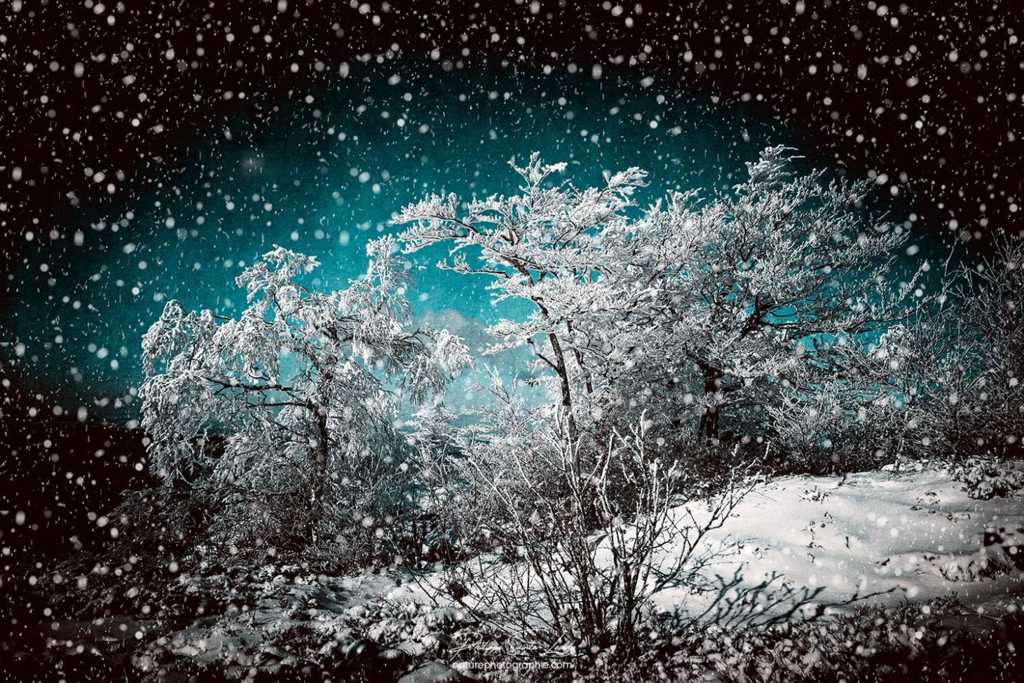 Texture photo et neige