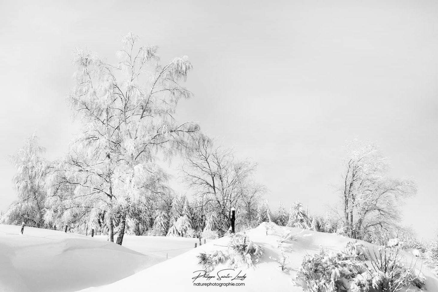 Paysage de neige en noir et blanc