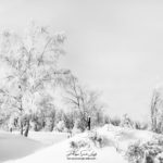 Paysage de neige en noir et blanc