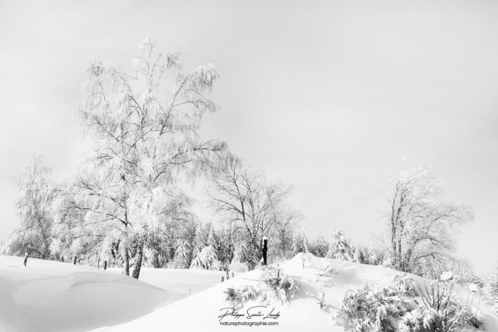 Paysage de neige en noir et blanc