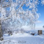 Paysage hivernal - Donon