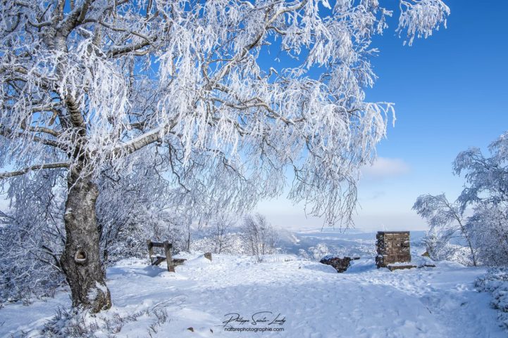 Paysage hivernal - Donon
