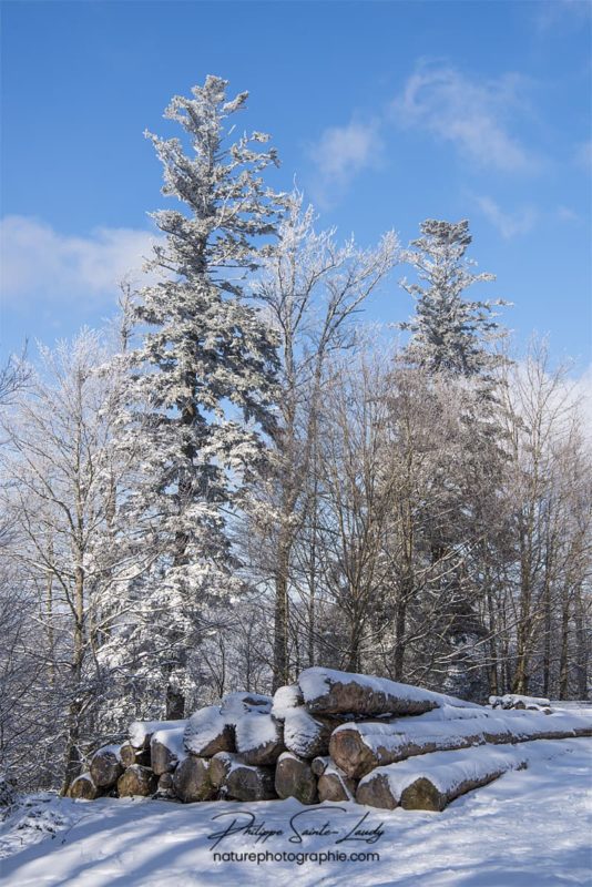 Billes de bois en hiver